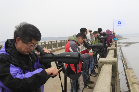 Spotters count migratory birds at Shengjin Lake in China for the International Waterbird Census’ 50th year