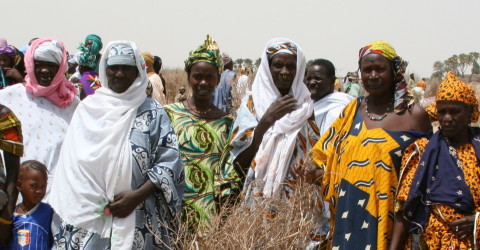 Women in Mali adopt new sustainable livelihoods