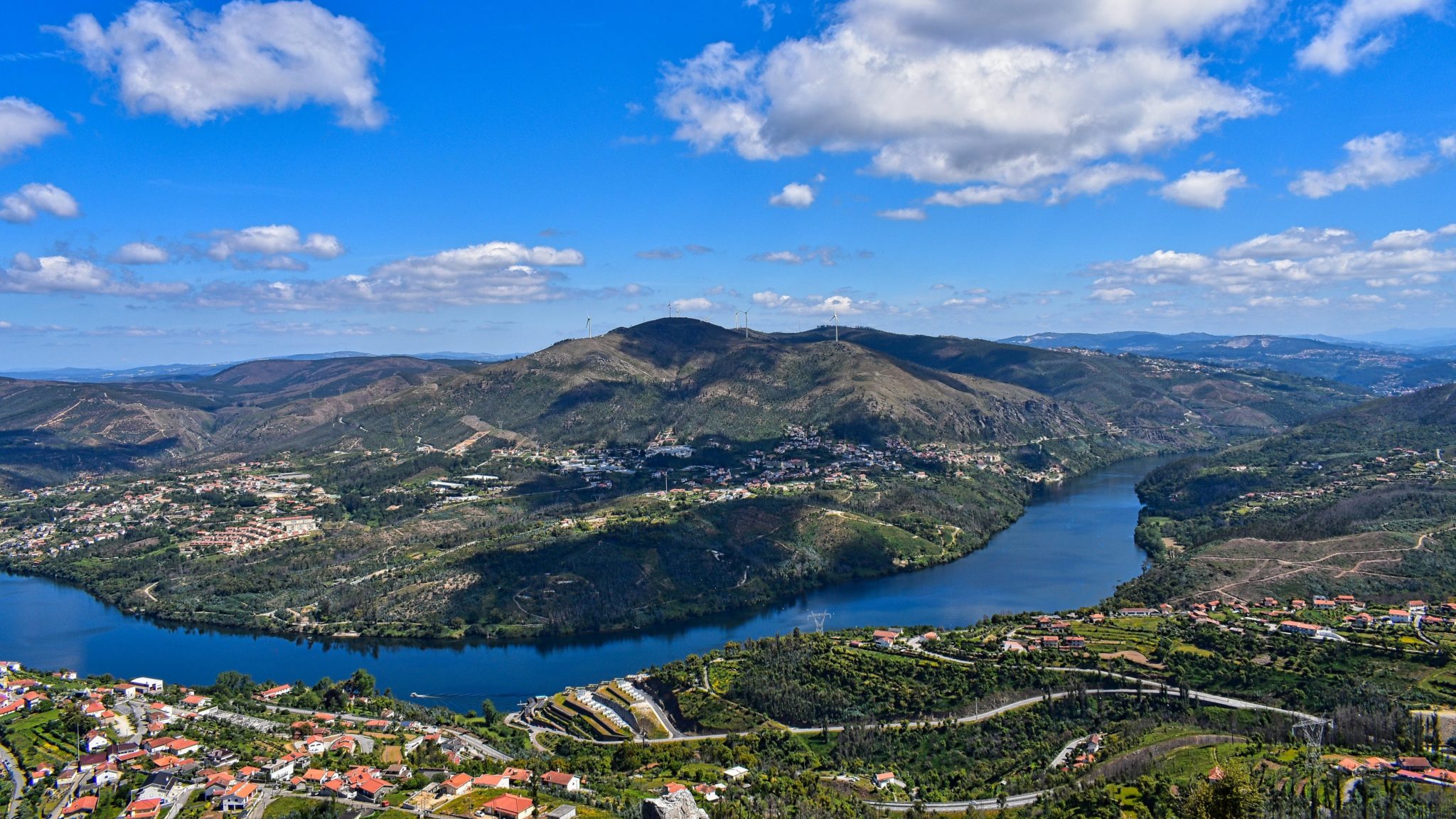 Scientists uncover new information on the Douro river ecosystem