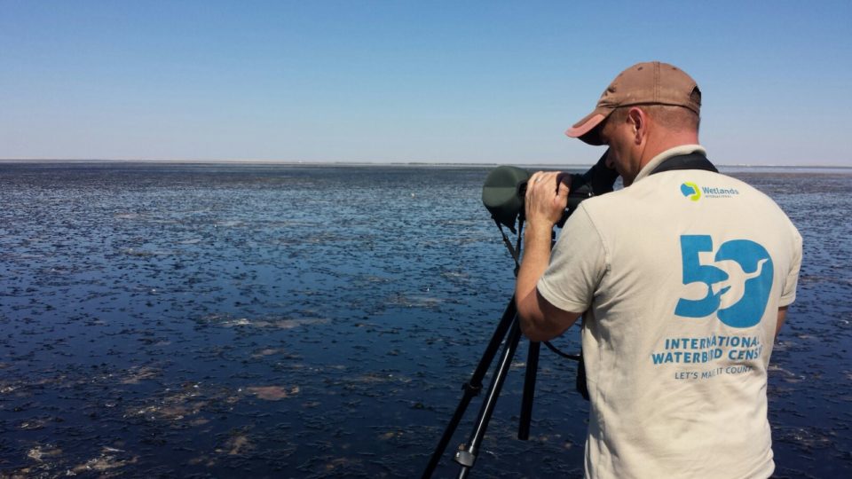 Leon Kelder from Staatsbosbeheer counting at Khawr Barr Al Hikman