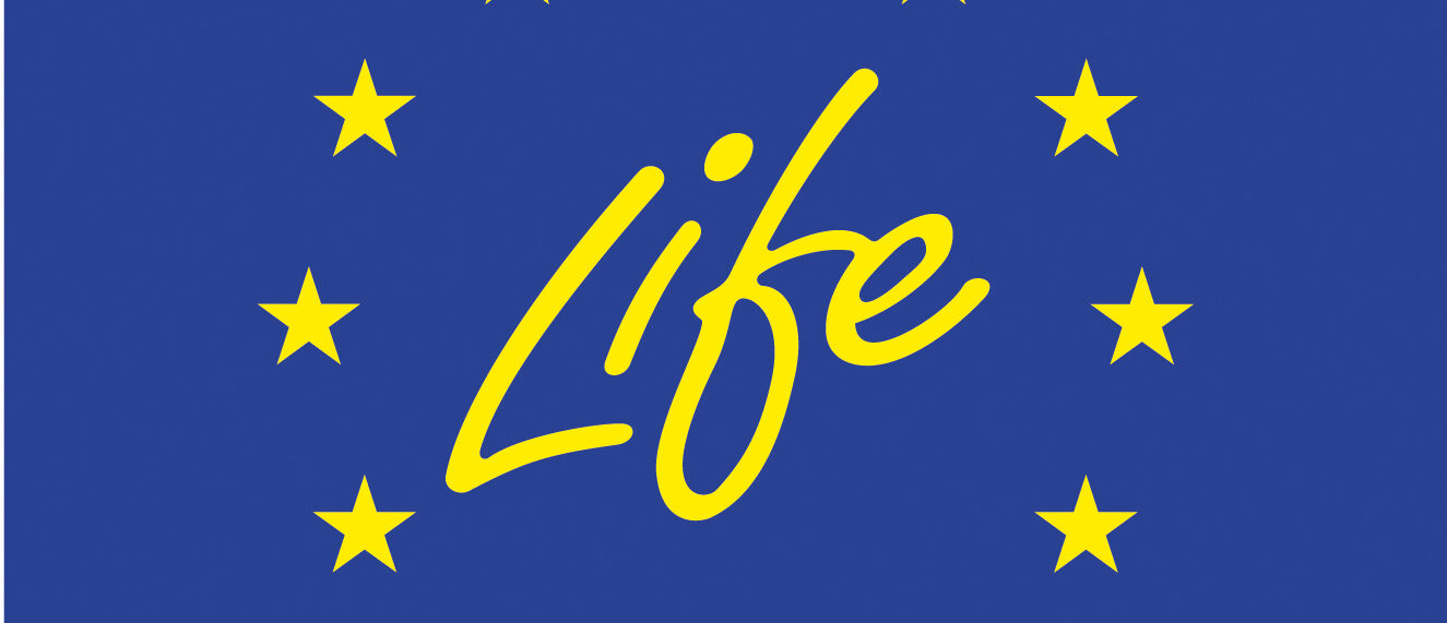 Latest Wetlands International Europe