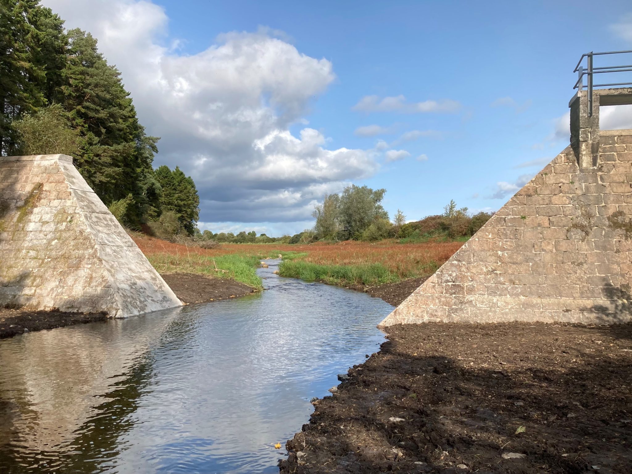 Record year for dam removals in Europe - Wetlands International Europe