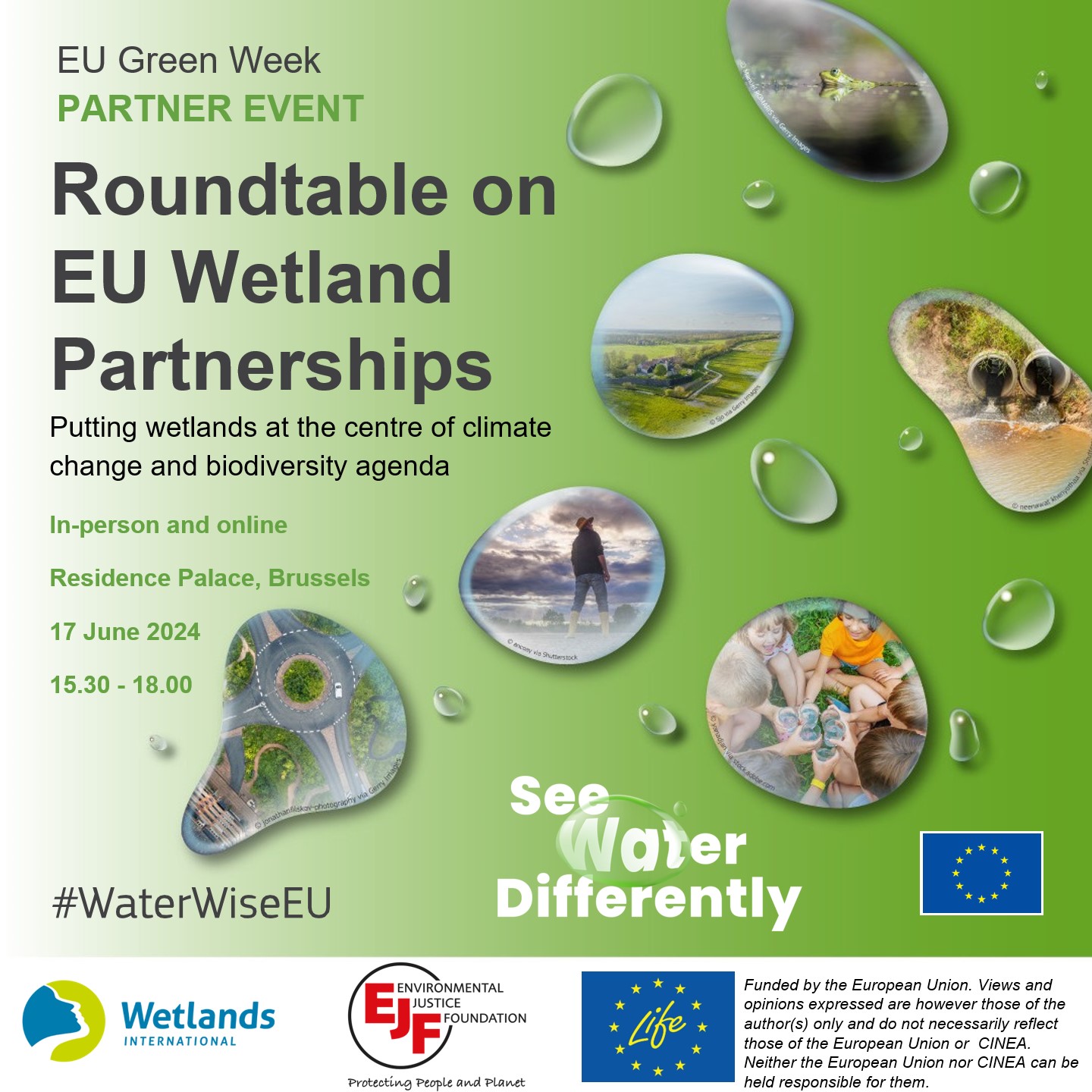 EU GREEN WEEK: Roundtable on EU Wetland Partnerships. Putting wetlands ...