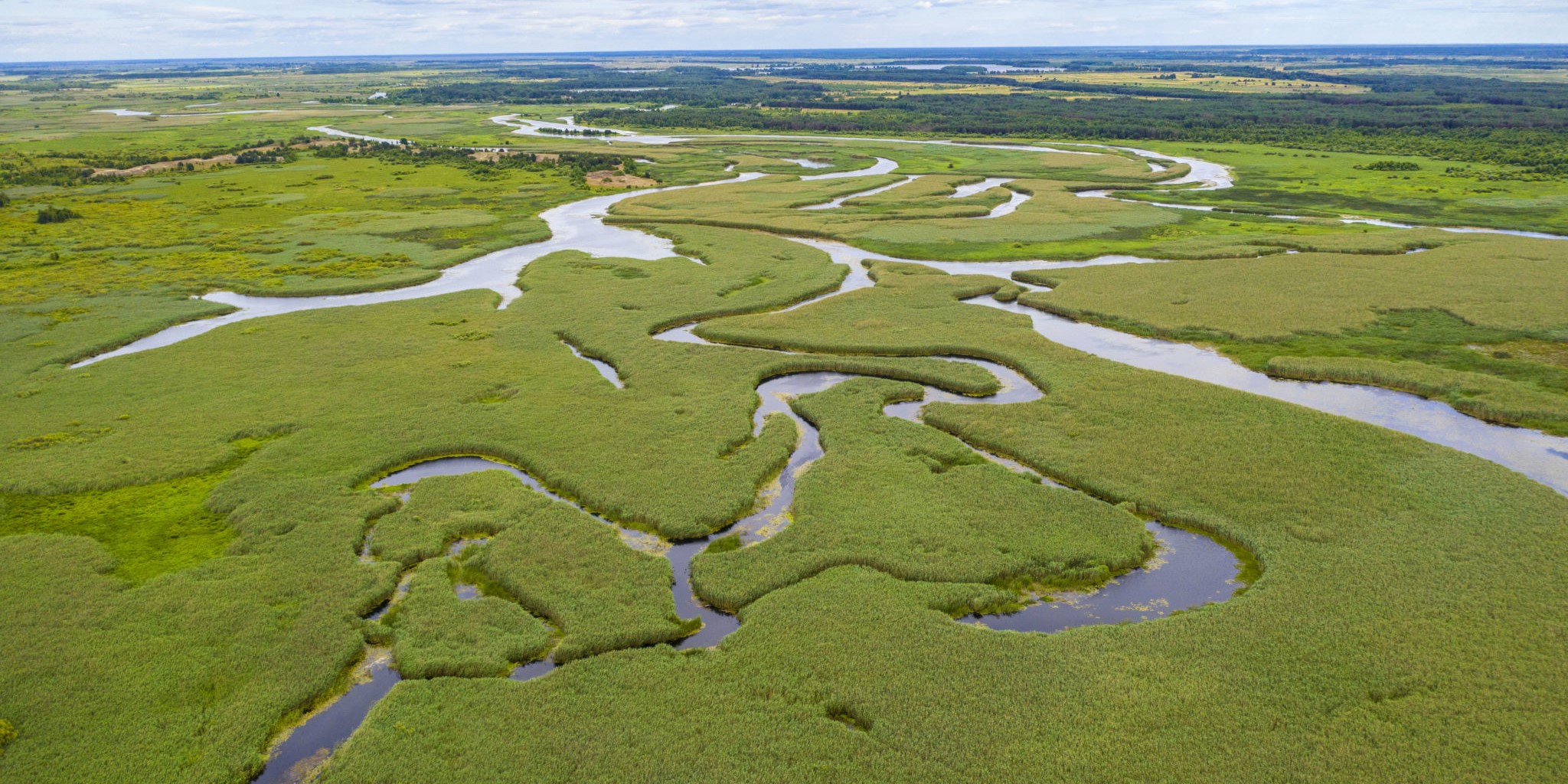 Become a Member - Wetlands International Europe