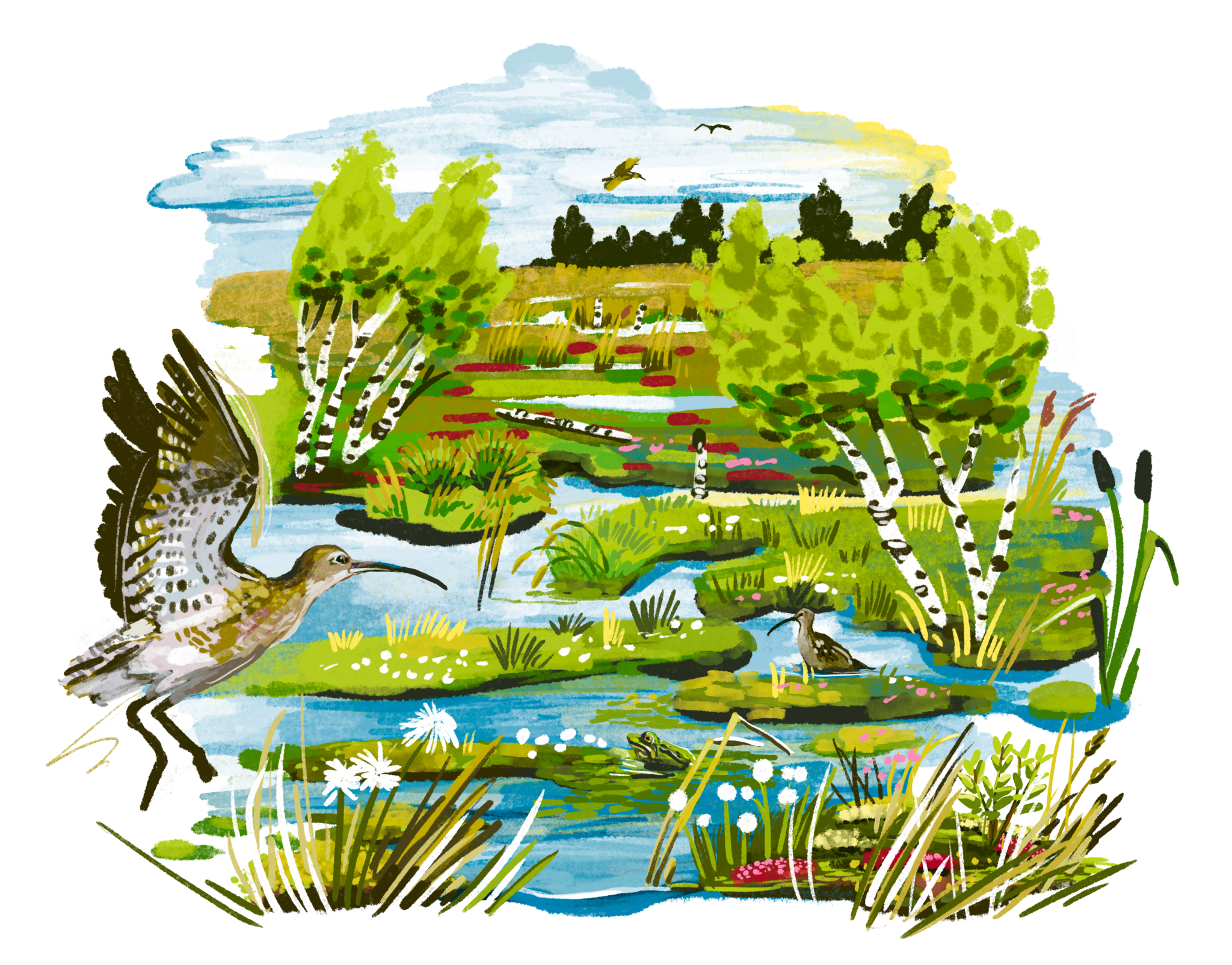 Morsels from the Moor: why peatlands matter more than ever - Wetlands ...