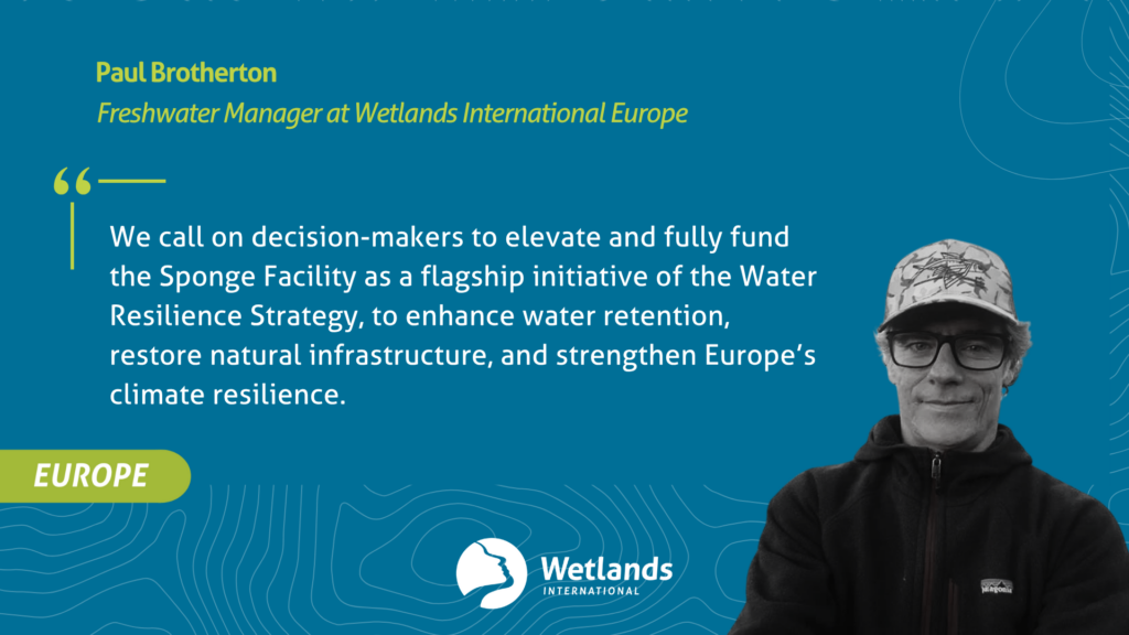 water resilience strategy and natural sponges